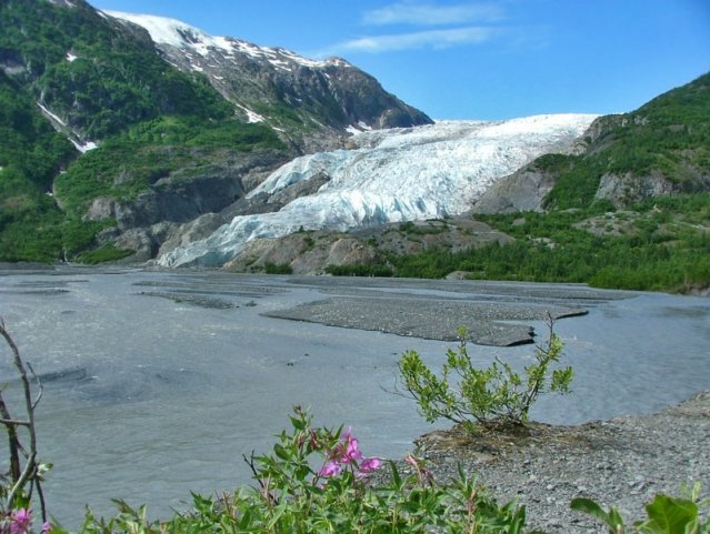 Exit Glacier Kenai Fjords National Park