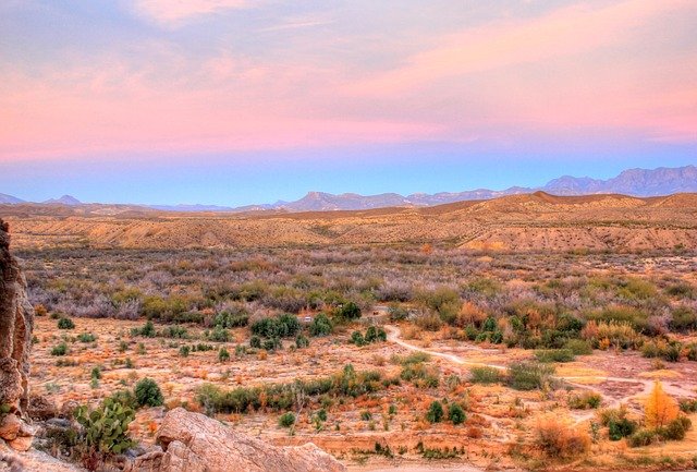 big bend national park desert 