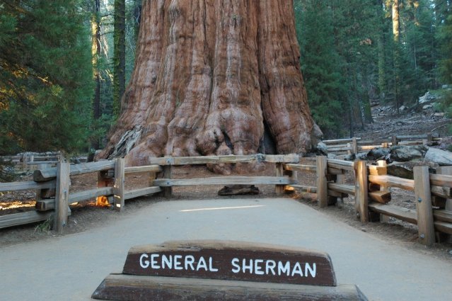 general sherman sequoia park